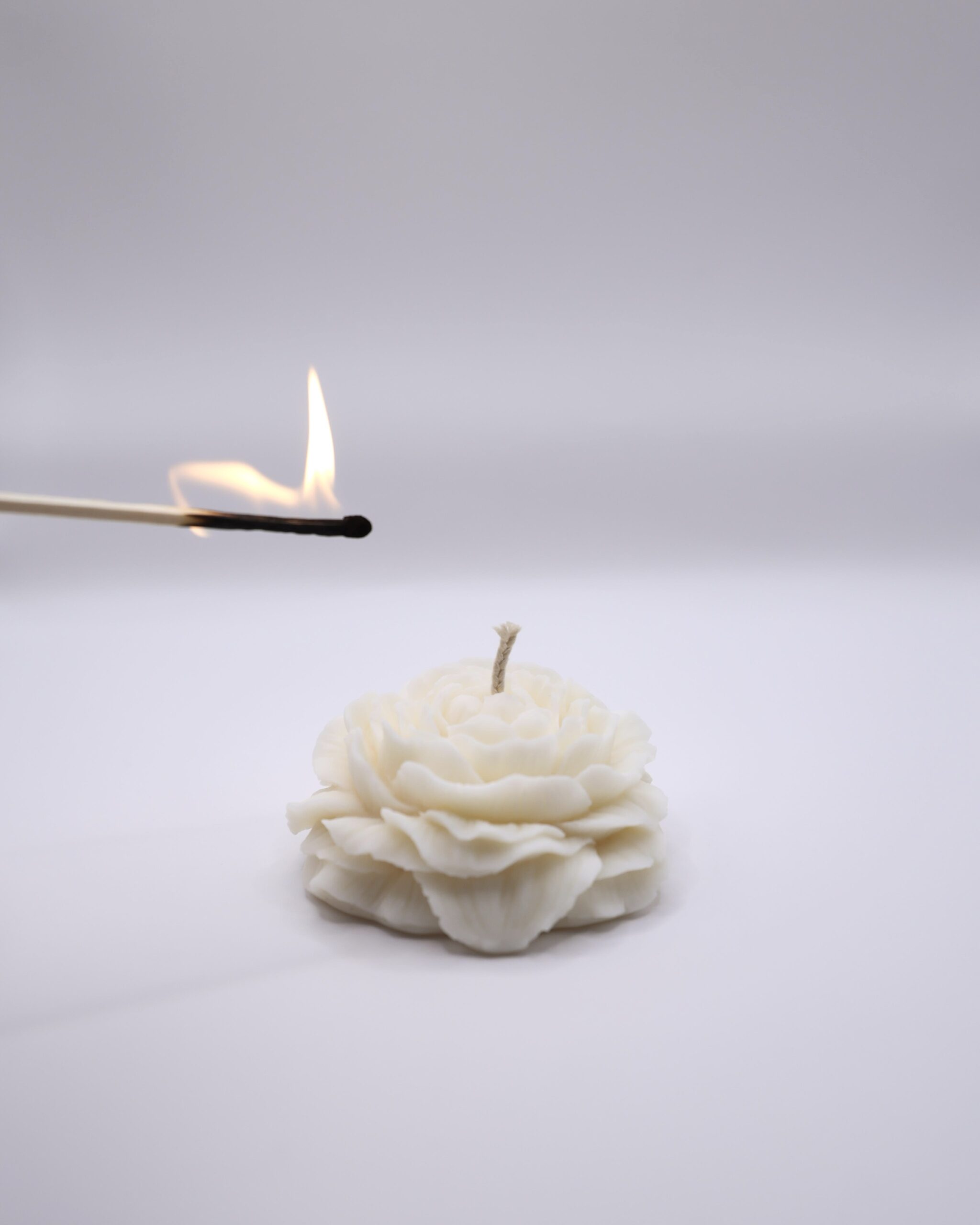 Pivoine – Image 3