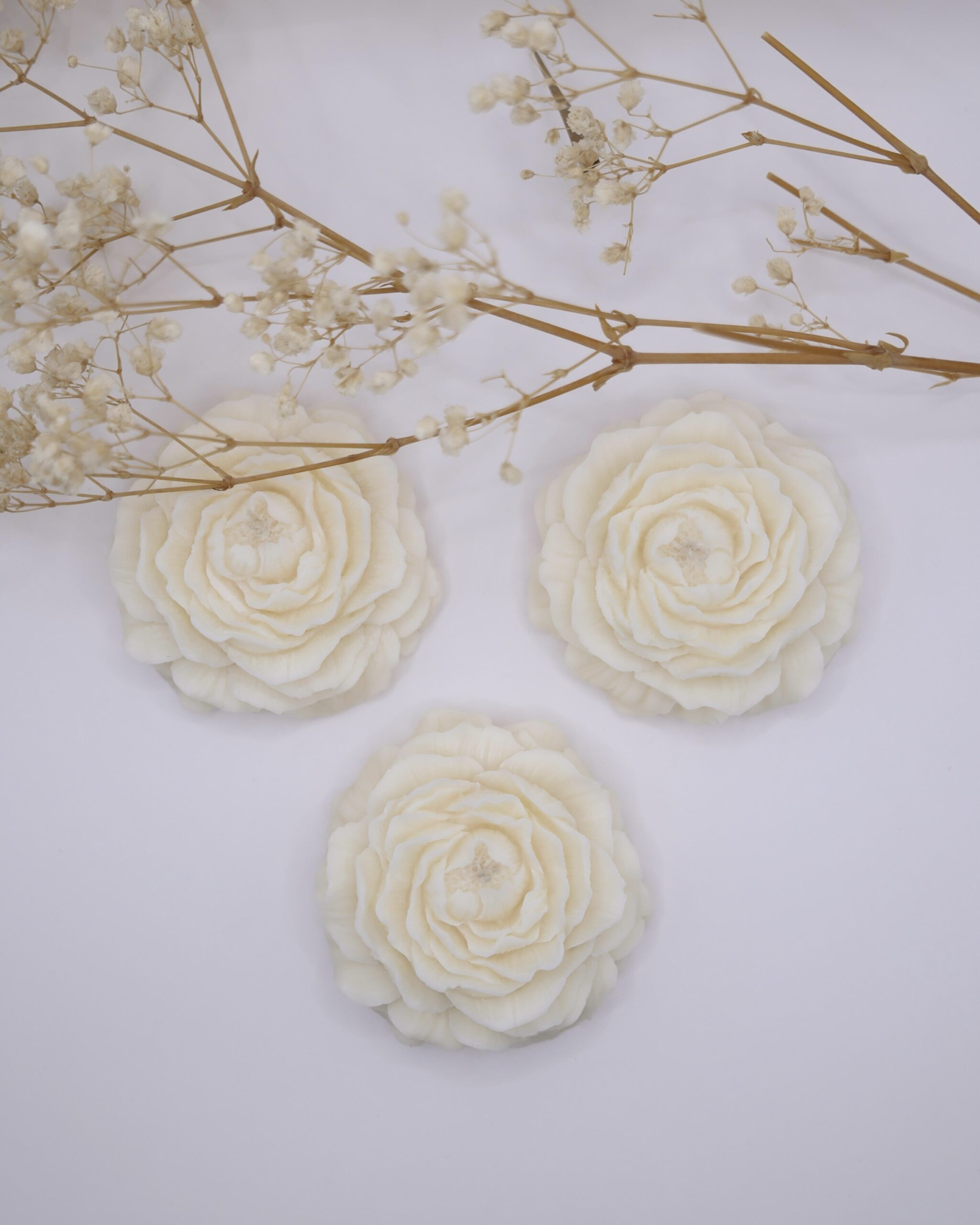Pivoine – Image 4