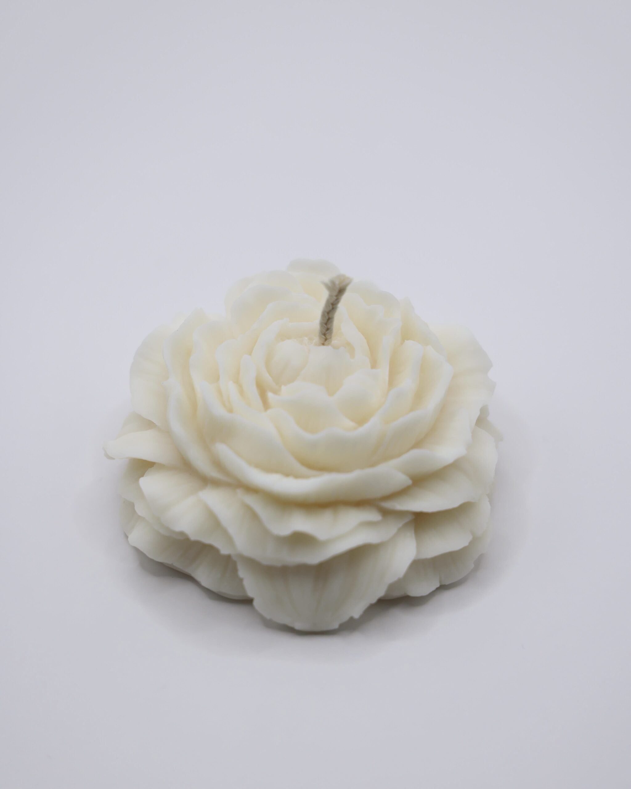 Pivoine – Image 2