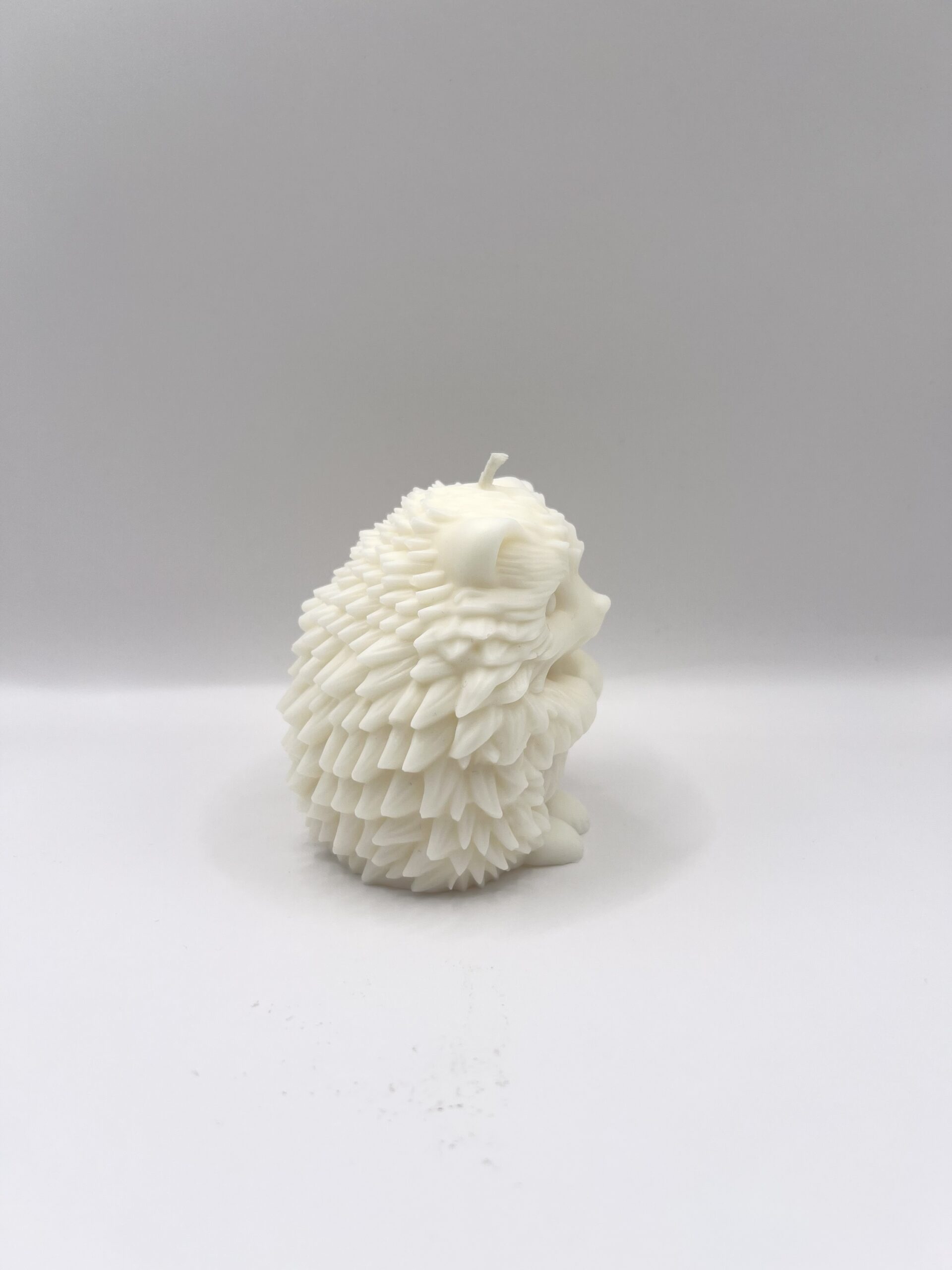 Hérisson – Image 4