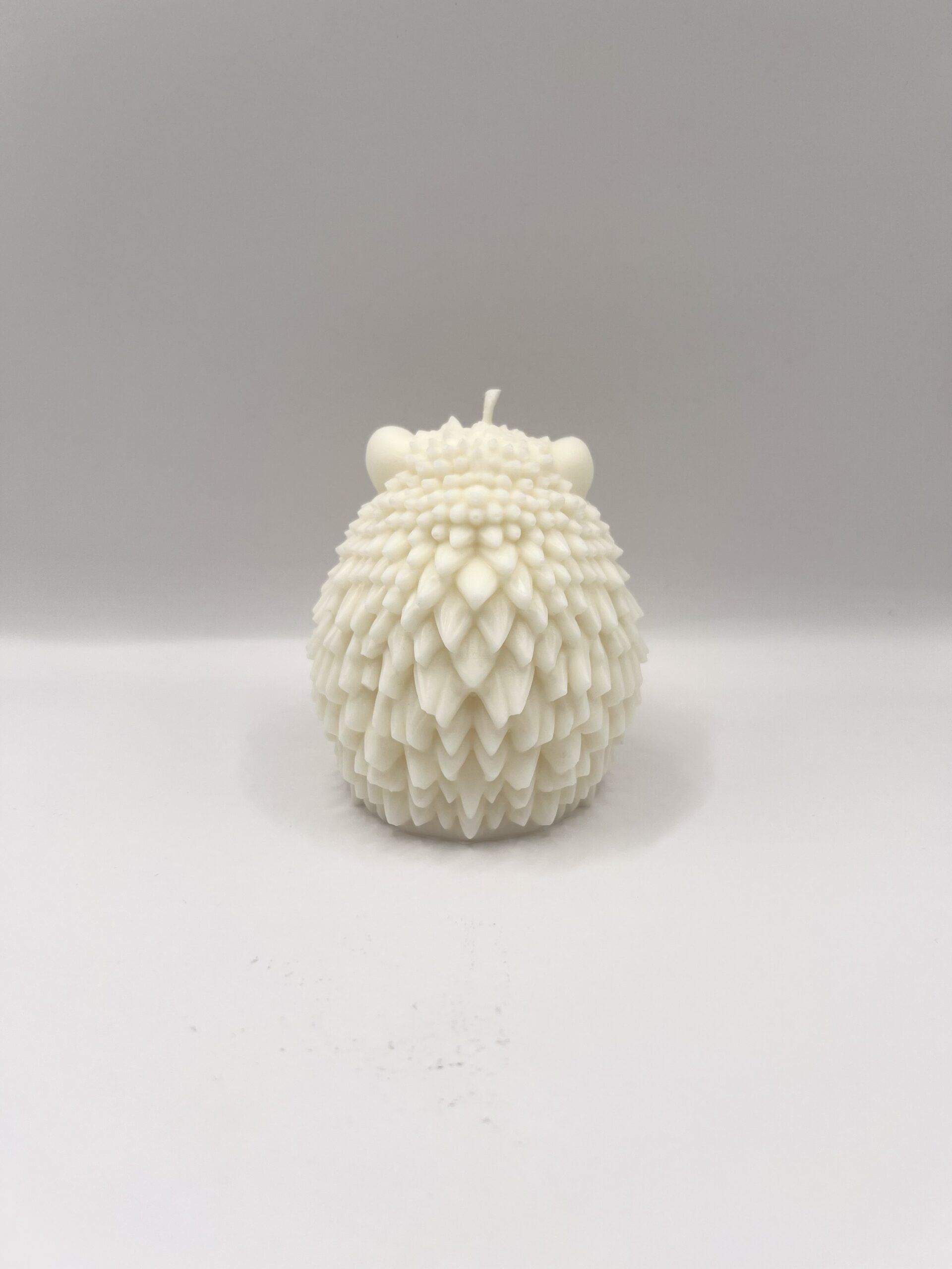 Hérisson – Image 5