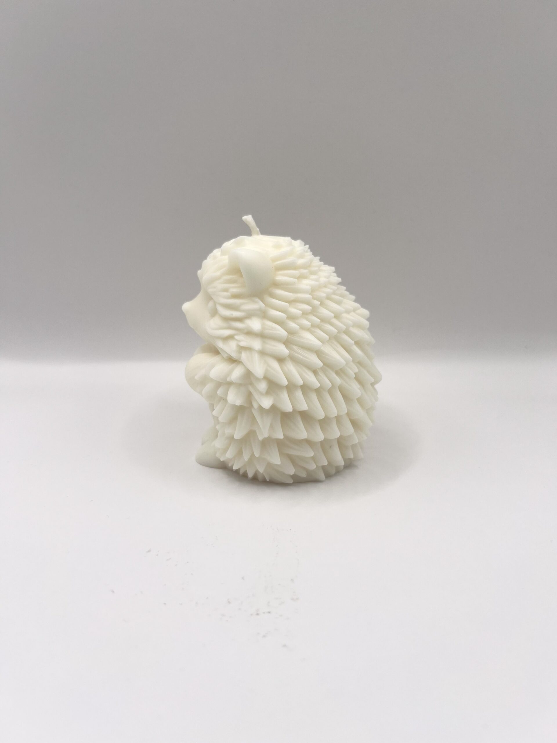 Hérisson – Image 7