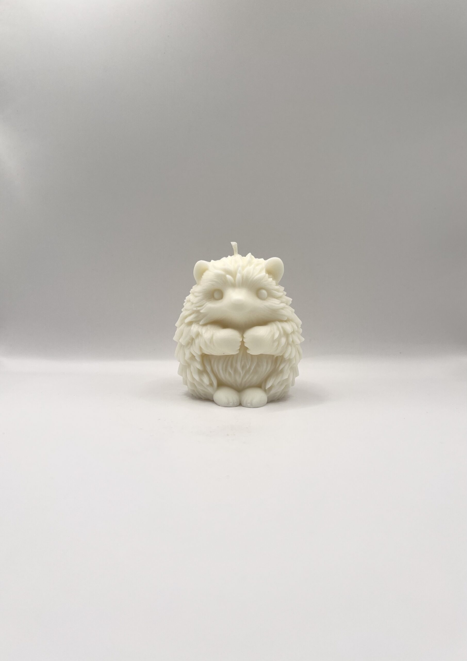 Hérisson – Image 8