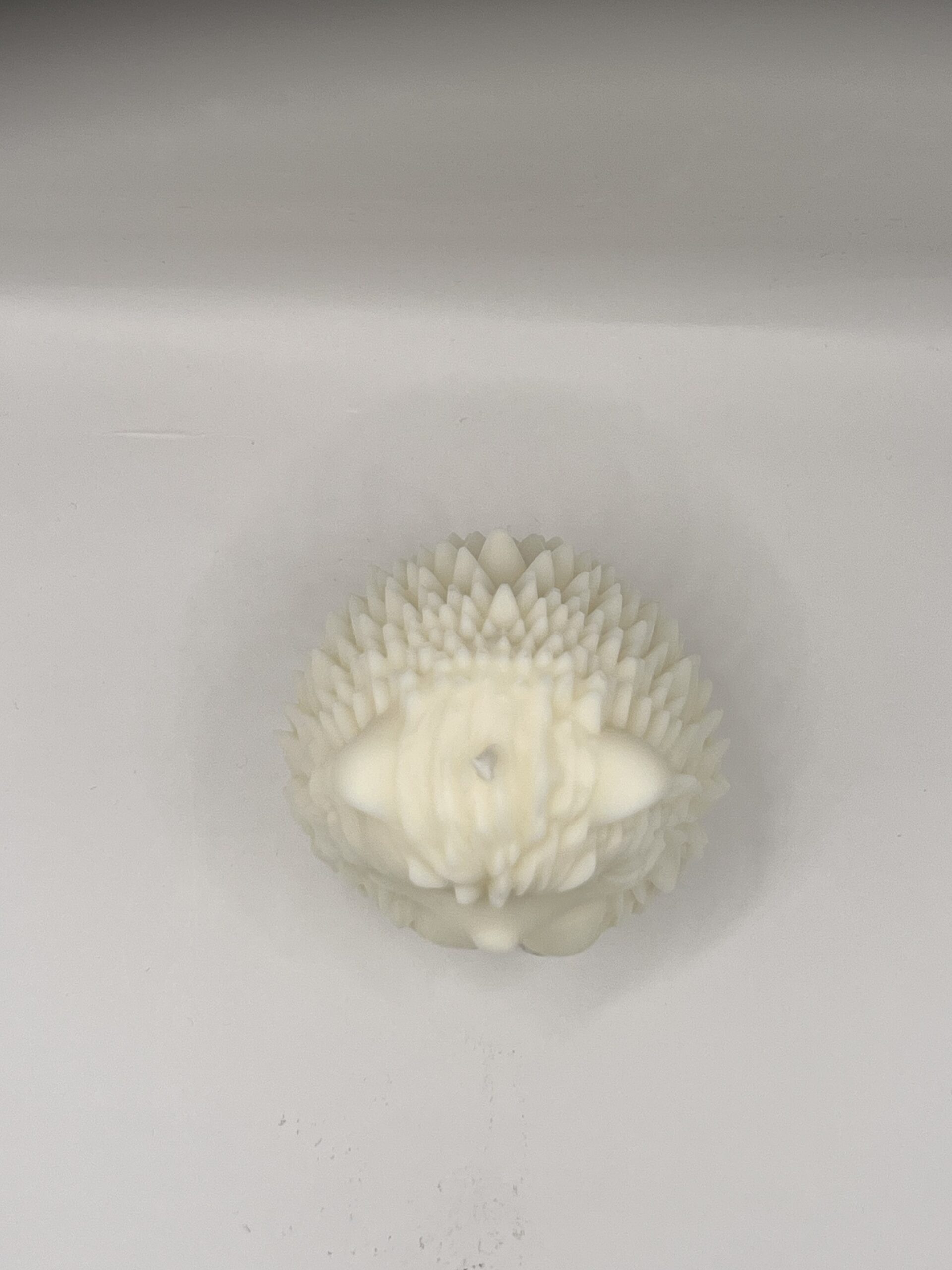 Hérisson – Image 6