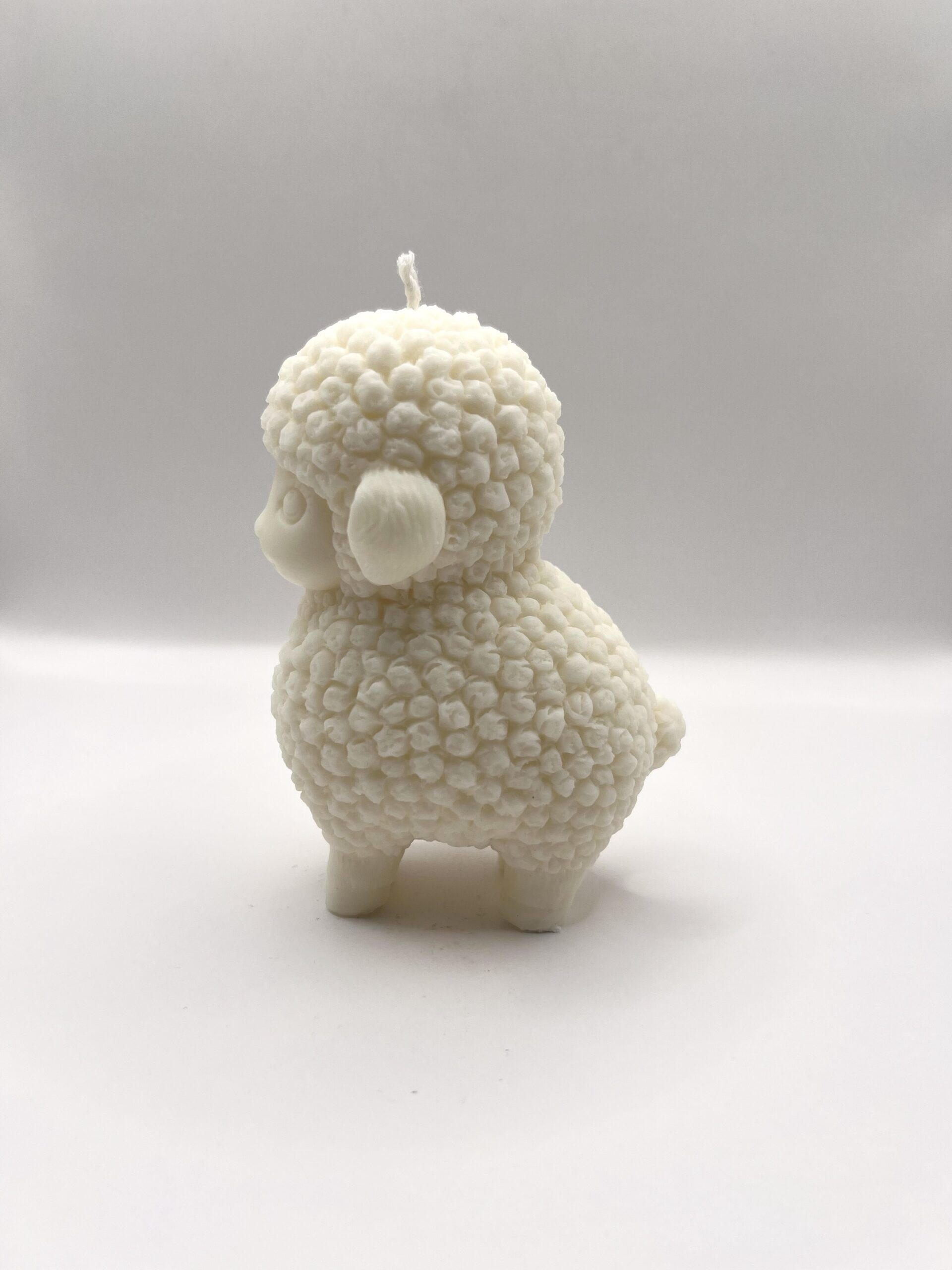 Mouton – Image 5