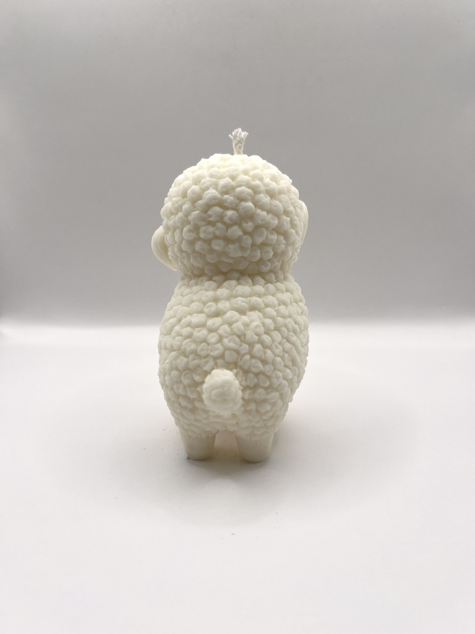 Mouton – Image 4