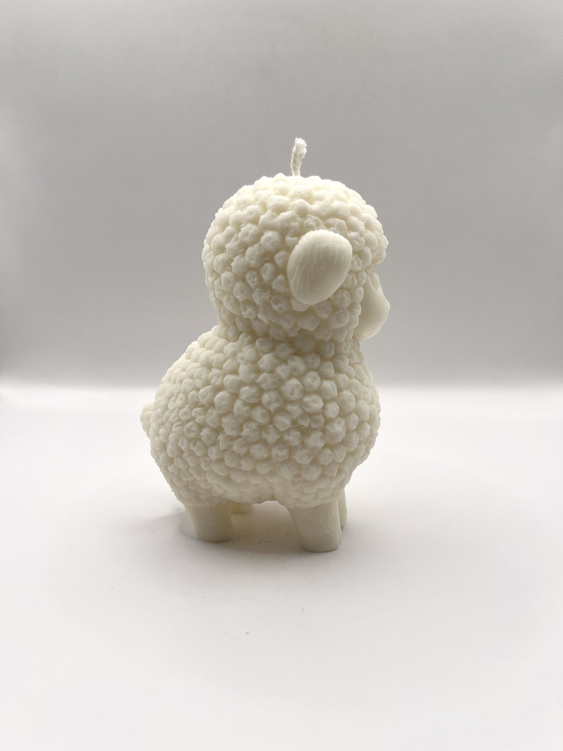 Mouton – Image 3