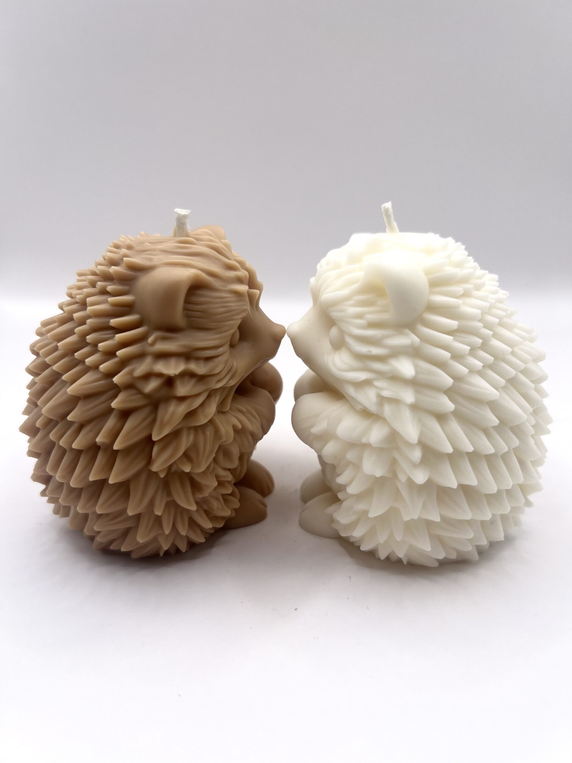 Hérisson – Image 2