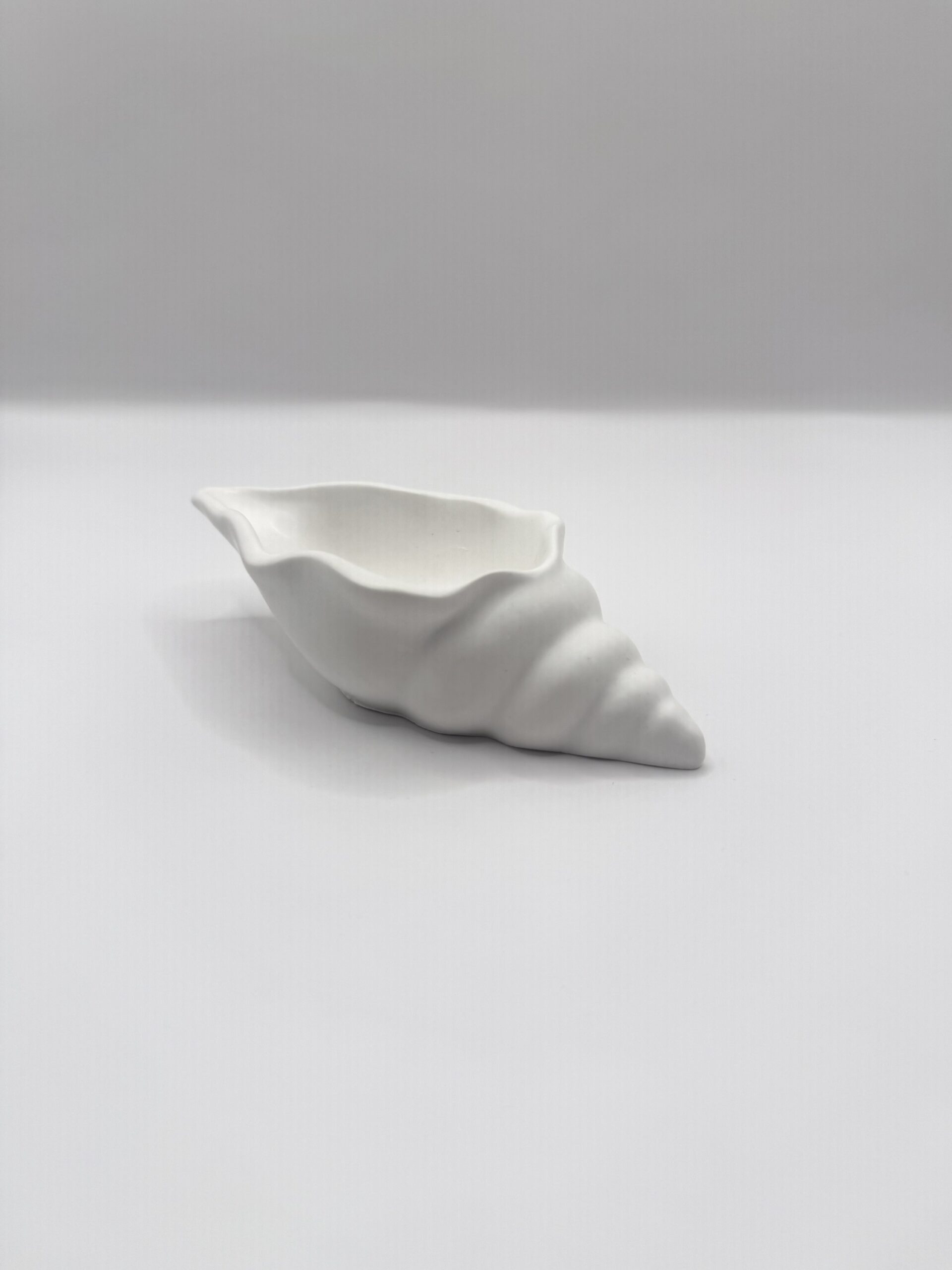 Mini coquillage