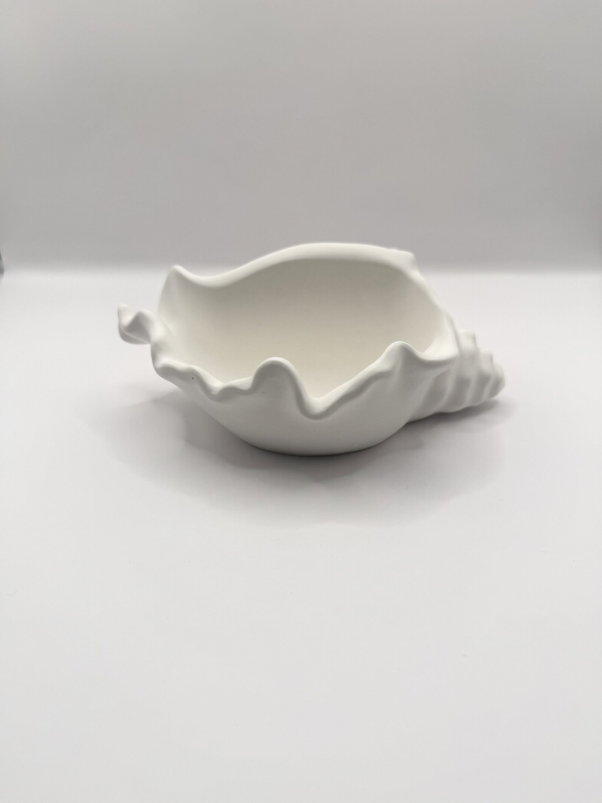 Coquillage