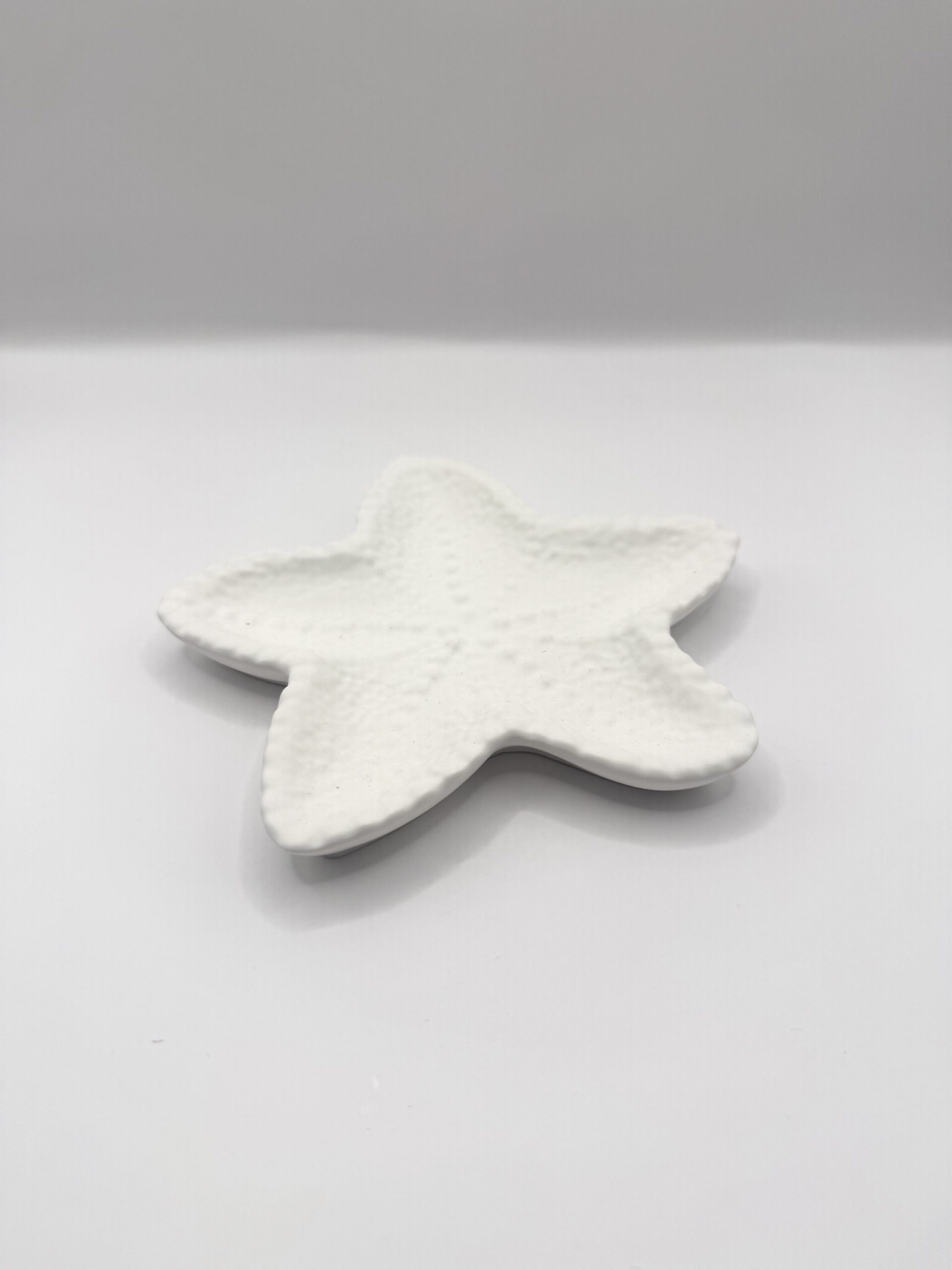 Étoile de Mer – Image 2
