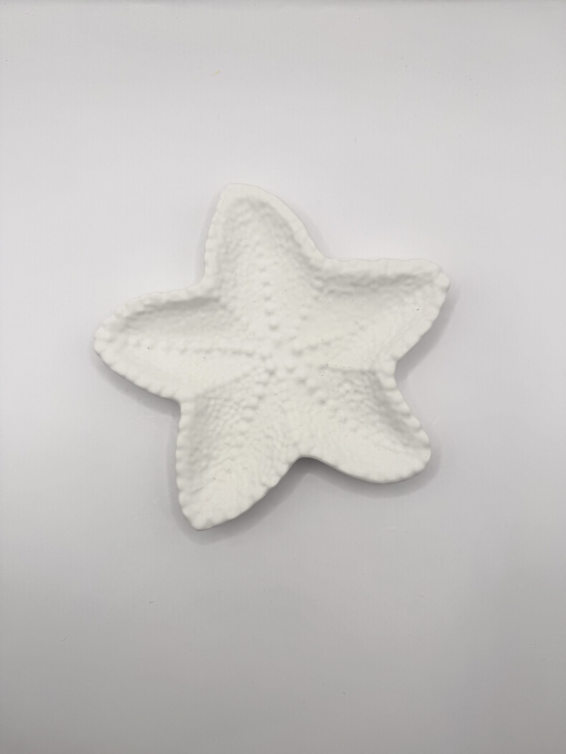 Étoile de Mer – Image 3