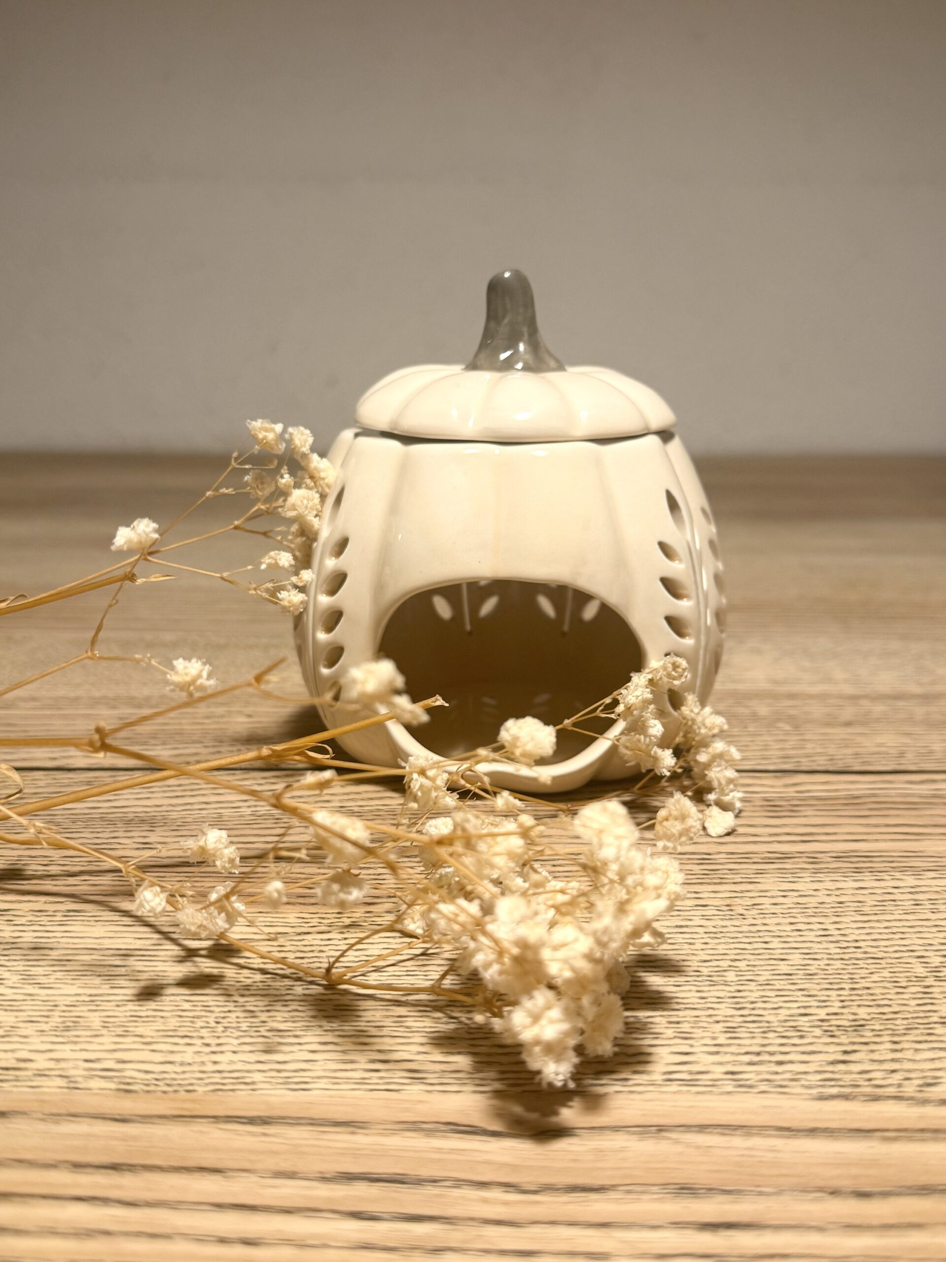 Citrouille crème – Image 3